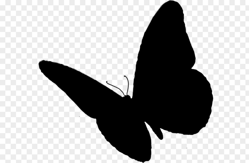 Butterfly Insect Clip Art PNG