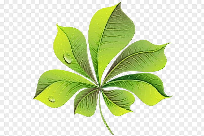 Houseplant Plant Stem Green Leaf Logo PNG