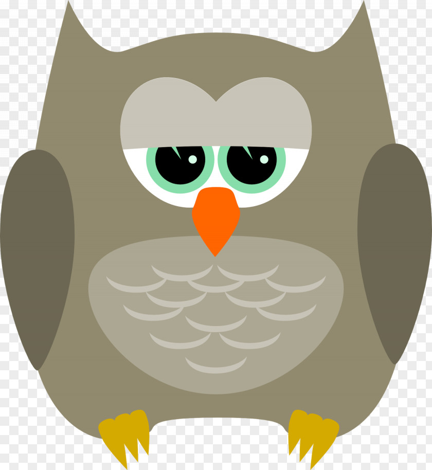 Owl Little Bird Clip Art PNG