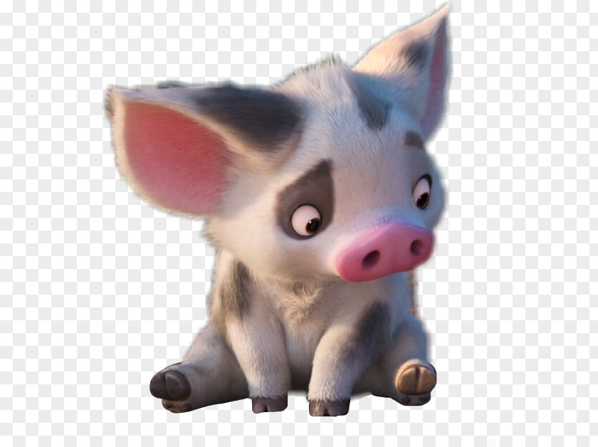 Pig And Chicken From Moana Clip Art Image Sticker PNG