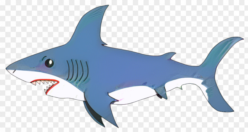 Squaliformes Cretoxyrhina Great White Shark Background PNG