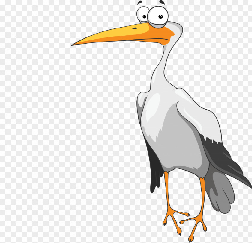 Stork White Download Bird PNG