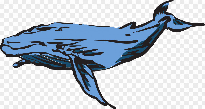 Whale Blue Clip Art PNG