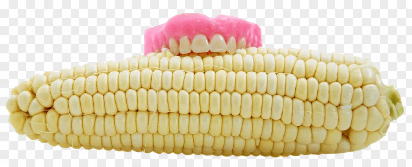 Dentures Human Tooth Corn On The Cob Dentistry PNG