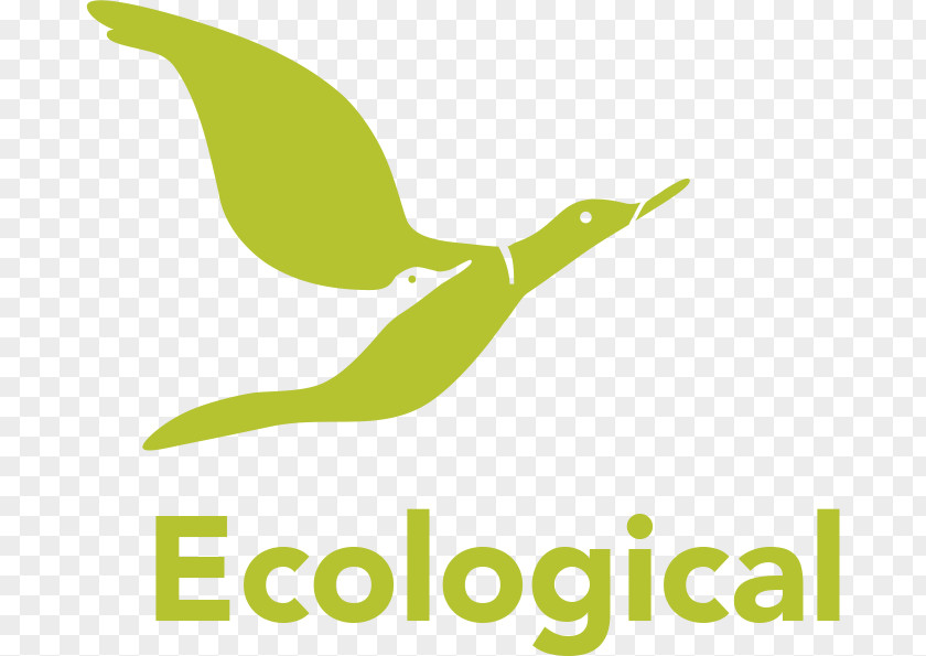 Ecological Ecology Design Natural Environment Sustainability Landscape PNG