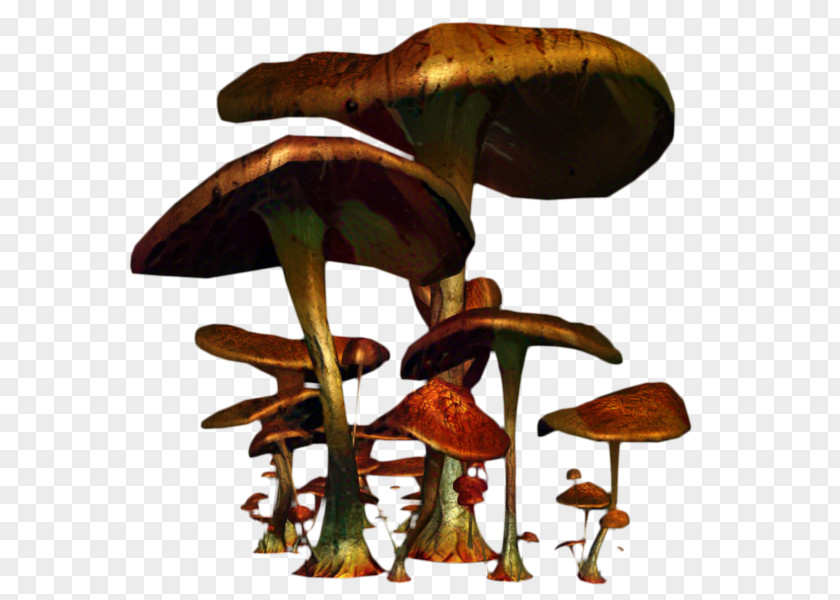 Edible Mushroom Product Design PNG