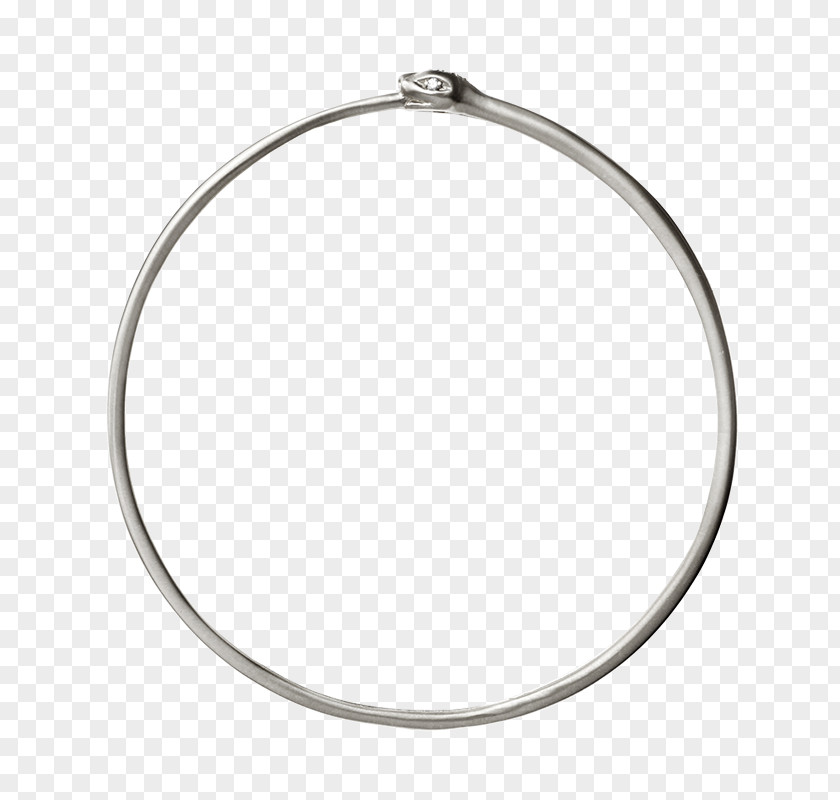 Pickled Phoenix Claw Material Body Jewellery Silver Circle PNG