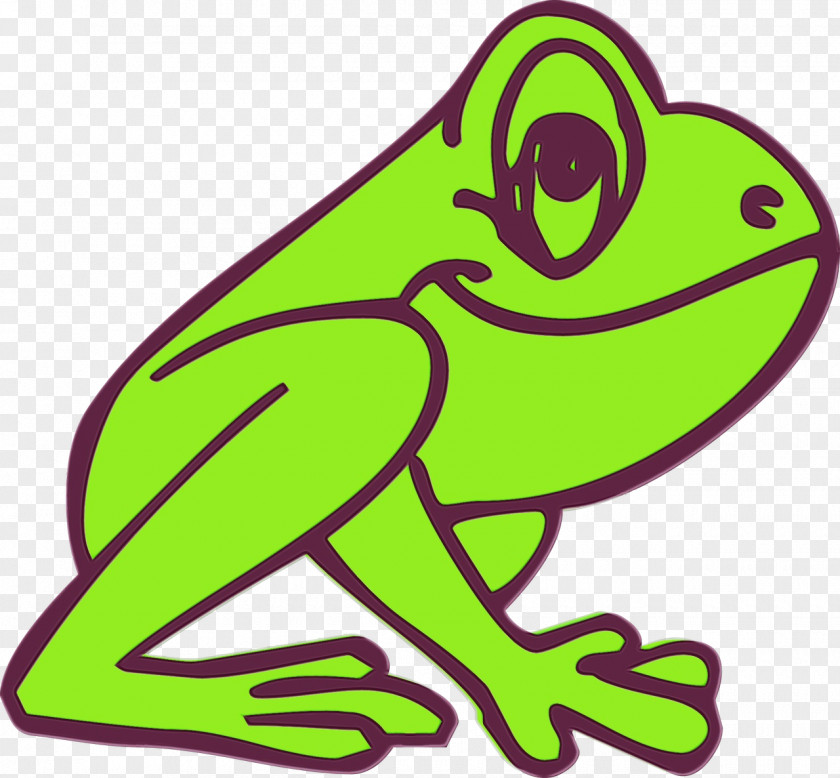 Agalychnis Shrub Frog Green Hyla Tree Clip Art True PNG