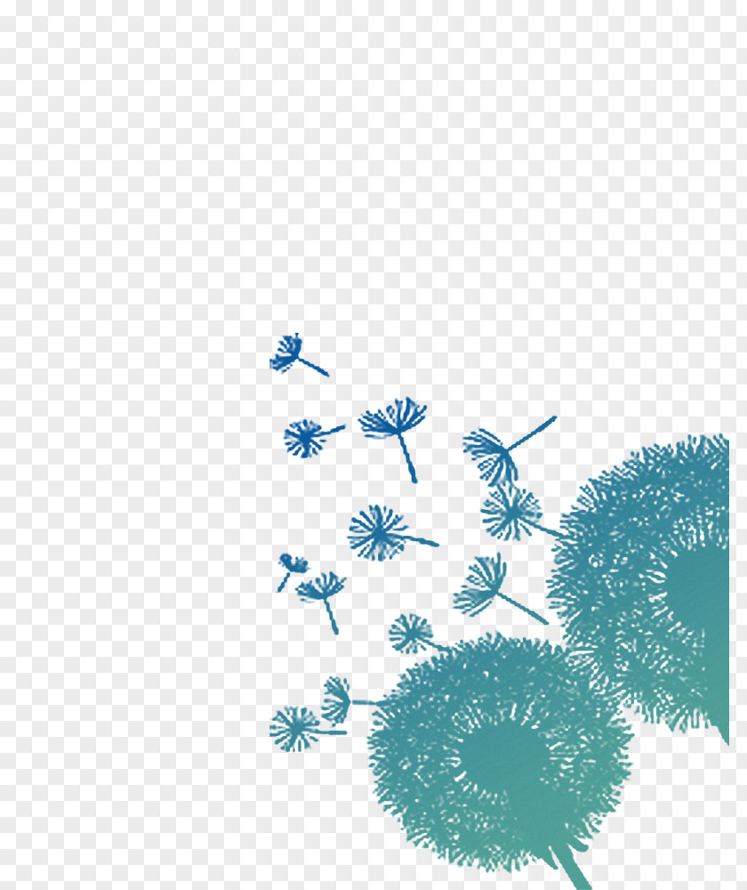 Blue Dandelion Turquoise Pattern PNG