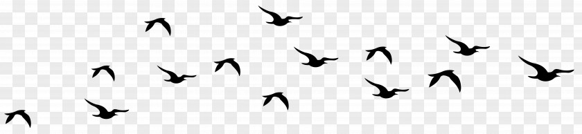 Flying Birds Silhouettes Transparent Clip Art Image United States Of America Happiness Definition English Language Meaning PNG