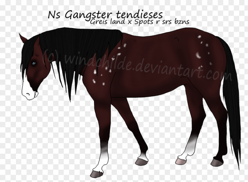Mustang Stallion Mare Halter Horse Harnesses PNG