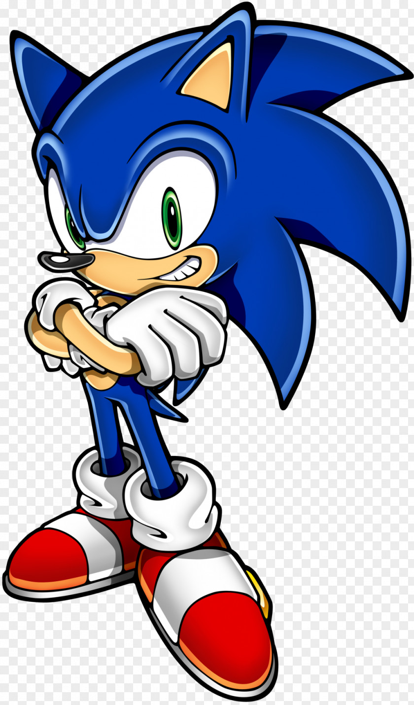 Sonic The Hedgehog 11 Rush Adventure 2 PNG