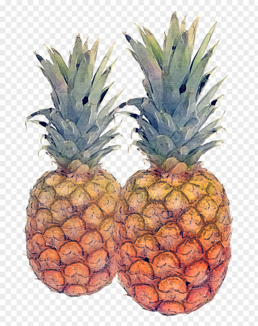 Superfood Food Pineapple PNG