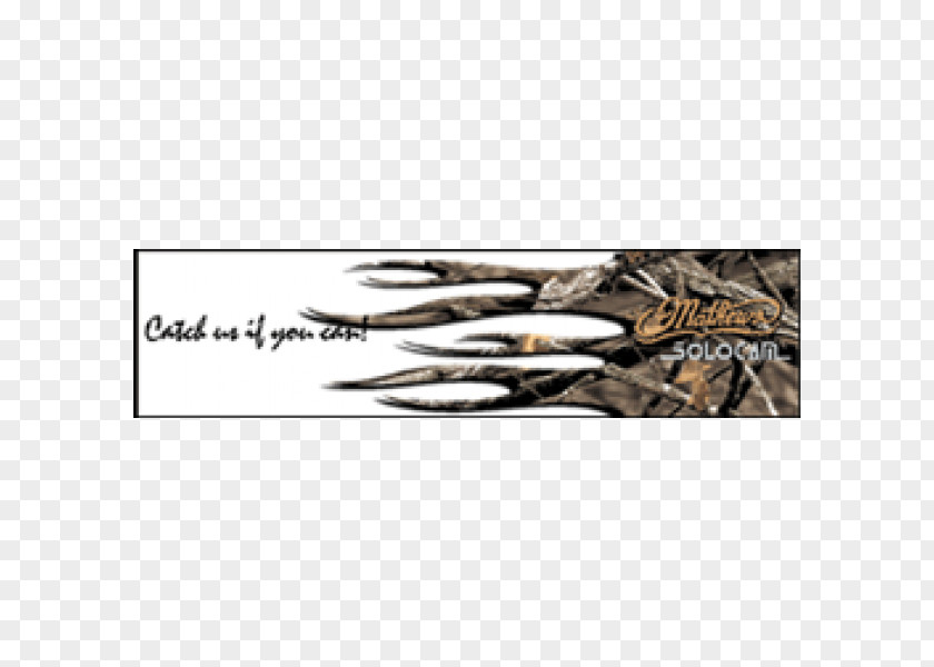 Wood /m/083vt Archery Camouflage Eye PNG