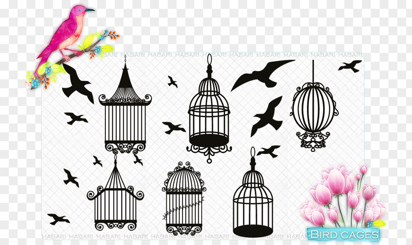 Bird Birdcage Drawing PNG