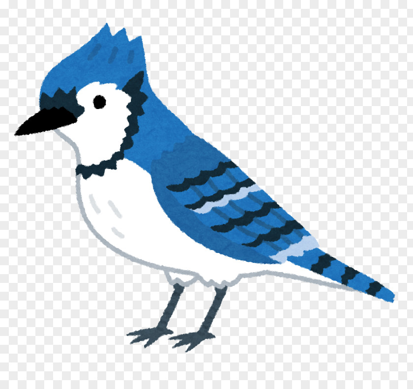 Cambridge Blue Jay Fort Atkinson Koshkonong Art PNG