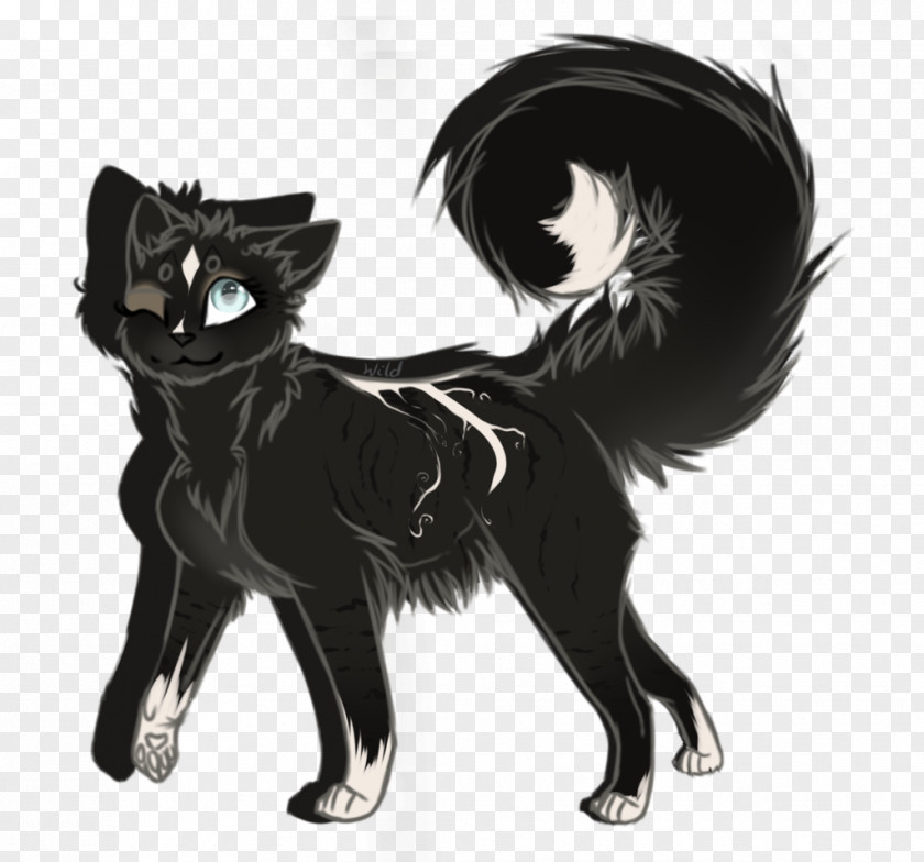 Dog Whiskers Breed Black Cat PNG