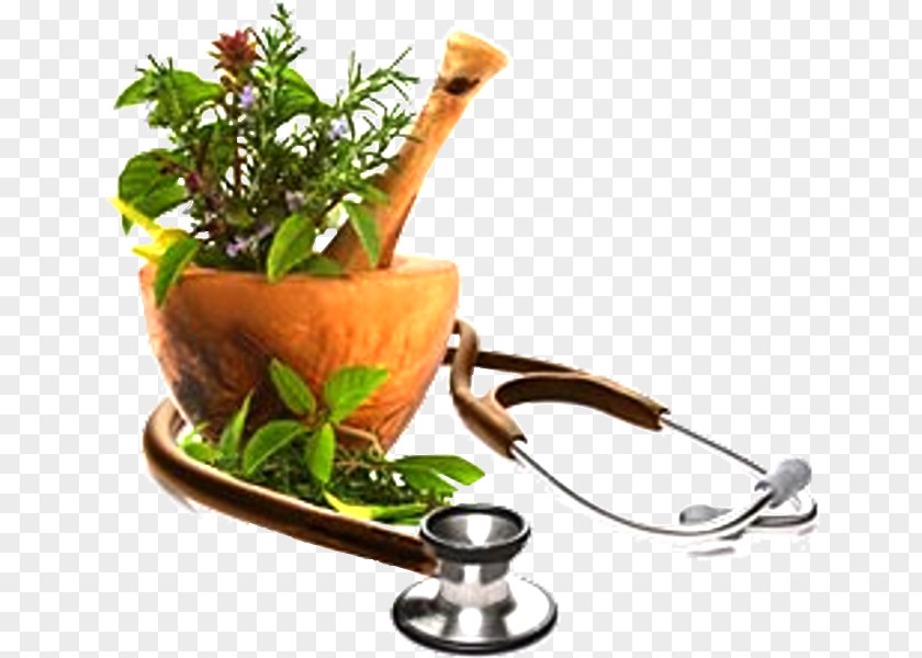 Health Herbalism Medicine Green Acupuncture PNG