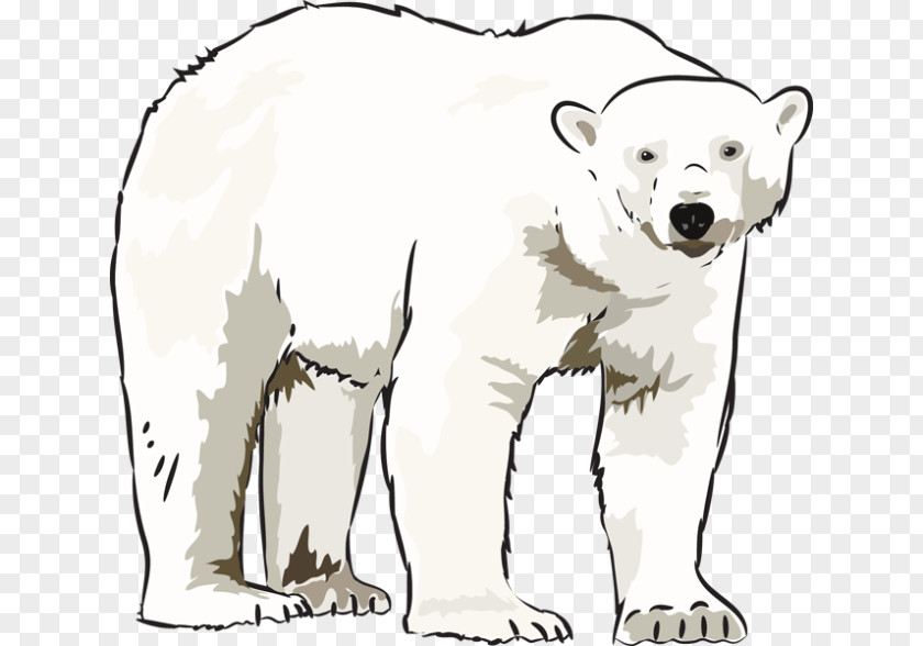 Winter Bear Cliparts Polar American Black Clip Art PNG