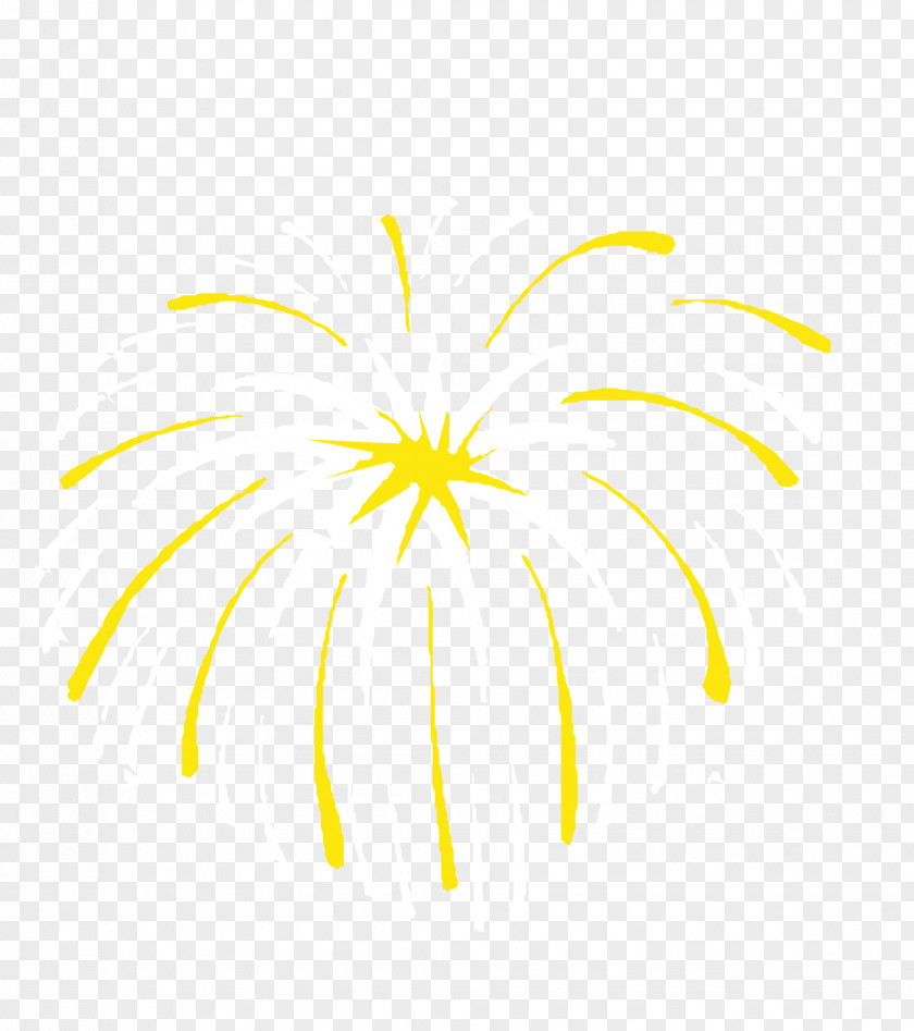 Dazzling Fireworks Text Graphic Design Illustration PNG