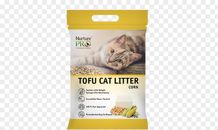 Litter Cat Trays Singapura Food Tofu Pet PNG