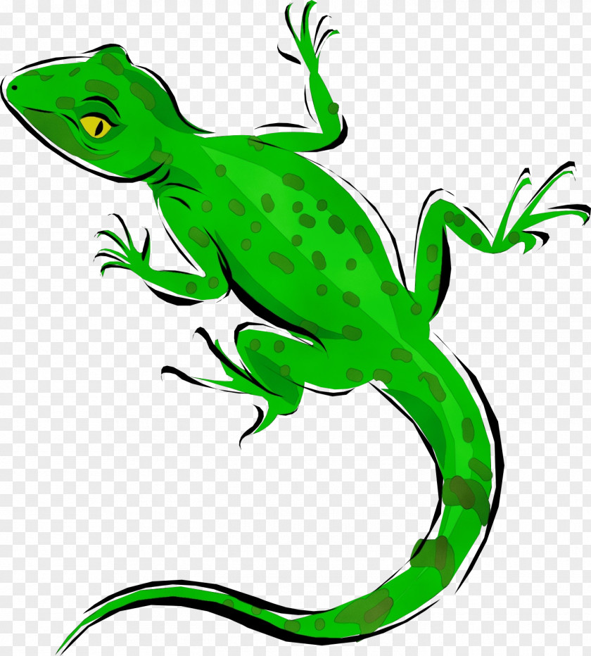 Tail Scaled Reptile Lizard Green European Clip Art PNG