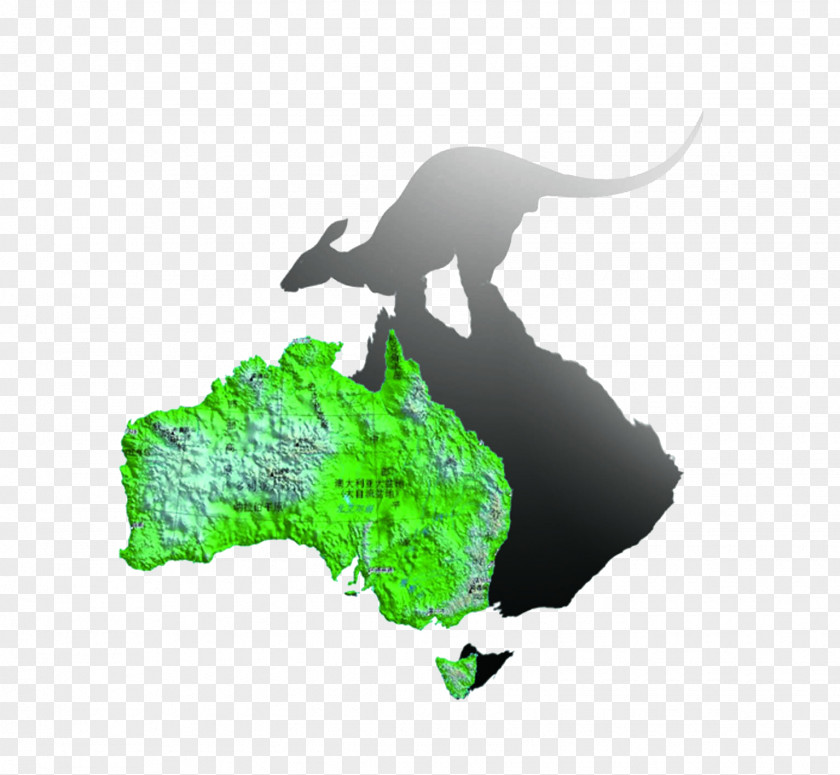 Australia Map Icon PNG