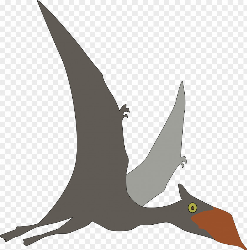 Dinosaur Sinopterus Pterosaurs Clip Art PNG