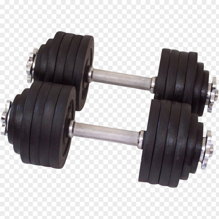 Dumbbell Weight Training Barbell Strength Exercise Equipment PNG