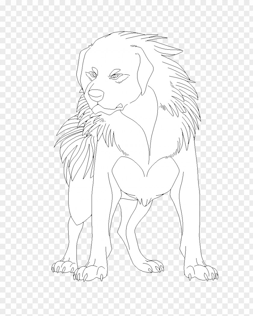 Painted Gray Wolf Lion Drawing Line Art Sketch PNG