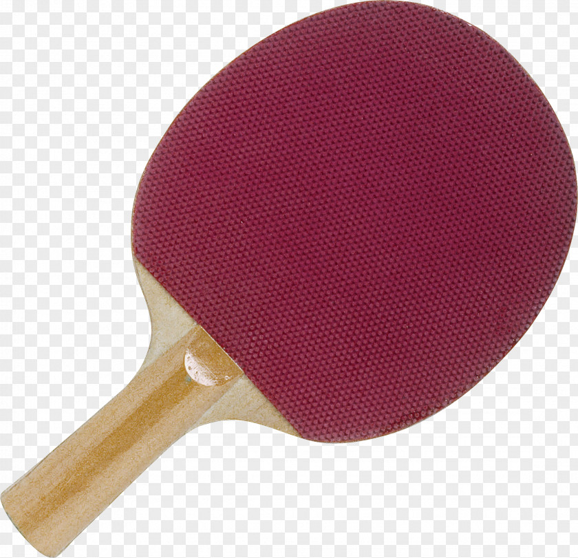 Ping Pong Table Tennis Racket Racketlon Racquet Sport PNG