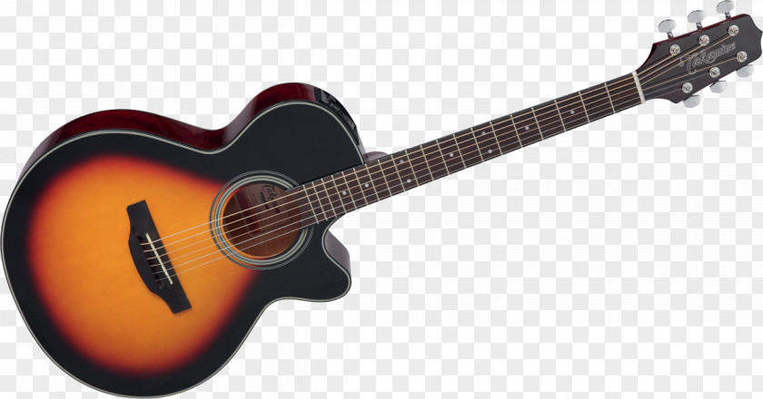 Acoustic Guitar Takamine Guitars Musician PNG