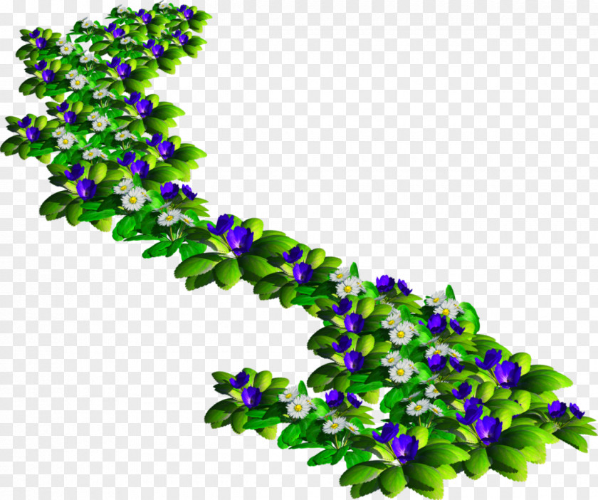 Bushes Tree Flower Branch Pine Polyvore PNG