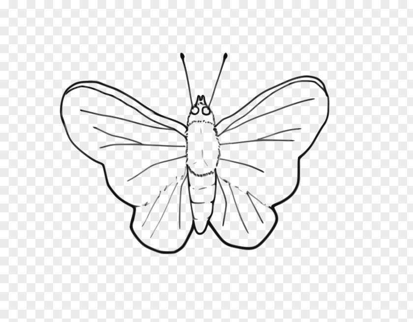 Butterfly Line Art Clip Monarch Black And White Drawing Openclipart PNG