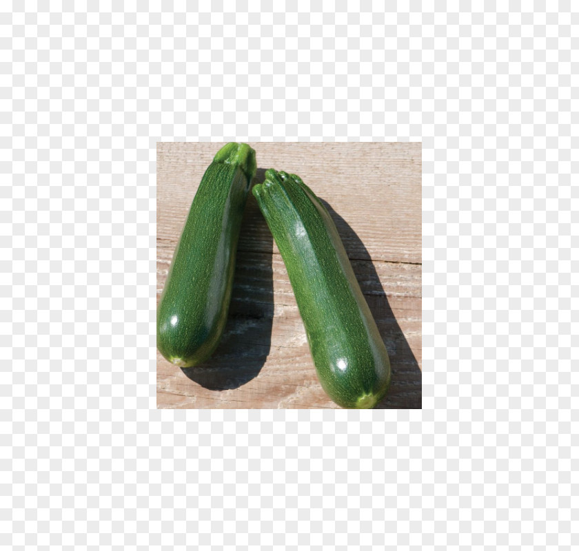 Cucumber Zucchini Cucurbita Summer Squash Fruit PNG