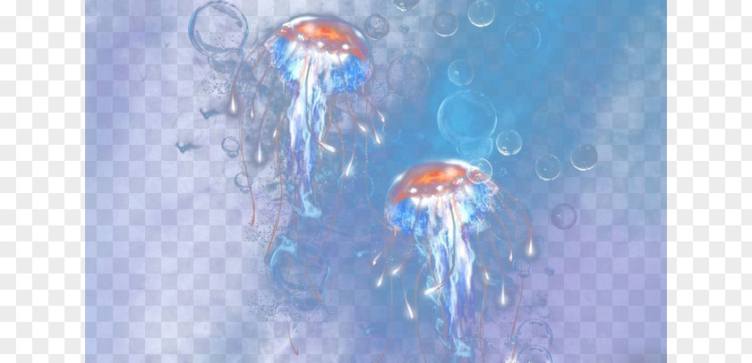 Dream Jellyfish Text The Symbolic Meaning Illustration PNG