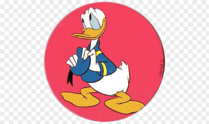 Duck Donald Cartoon Rooster PNG