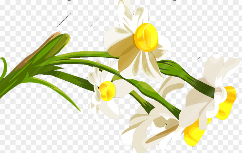 Lily Lilium Landscape Floral Design Wallpaper PNG