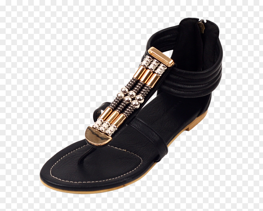 Sandal Shoe PNG