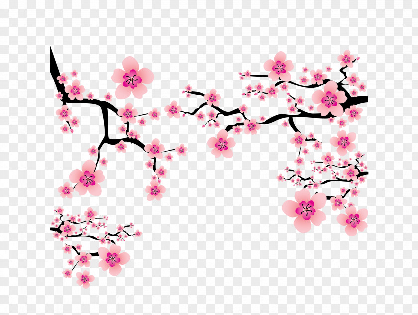 Vector Pink Japanese Elements Cherry Blossom Branches Dress Up Plum Clip Art PNG