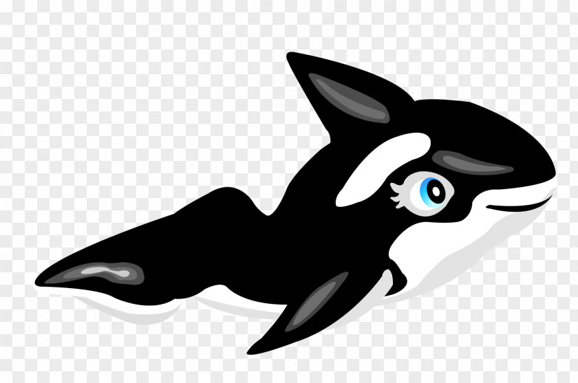 Black Shark Dolphin Marine Mammal PNG