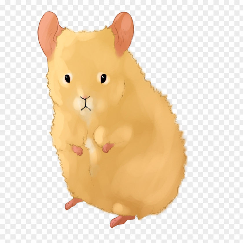 Hamster Rodent Mouse Murids Rat PNG
