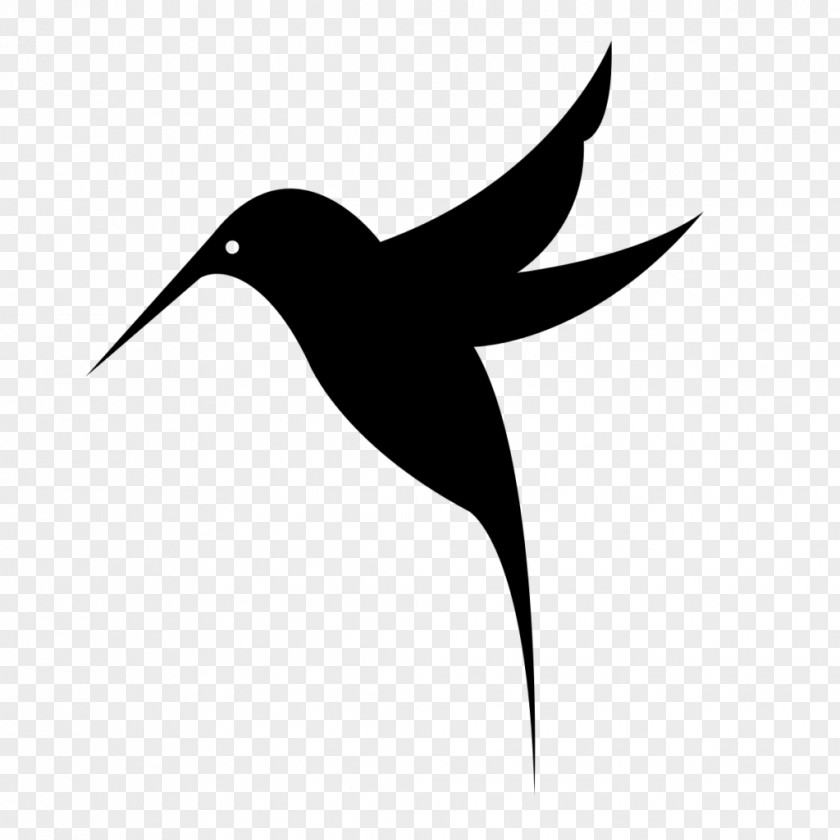 Humming Bird Hummingbird Drawing Clip Art PNG