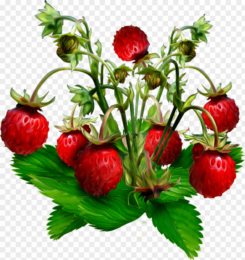 Strawberry Musk Gooseberry Wild Jostaberry PNG