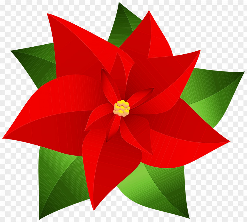 Wheel Holly Christmas Poinsettia PNG