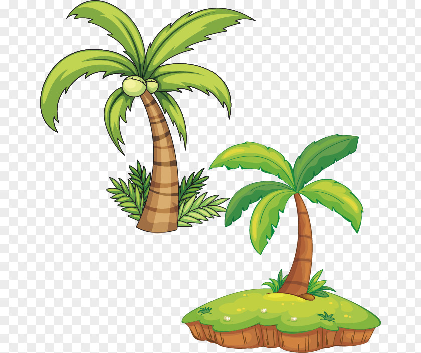 Beach Tree Vector Plant Royalty-free Arecaceae Illustration PNG