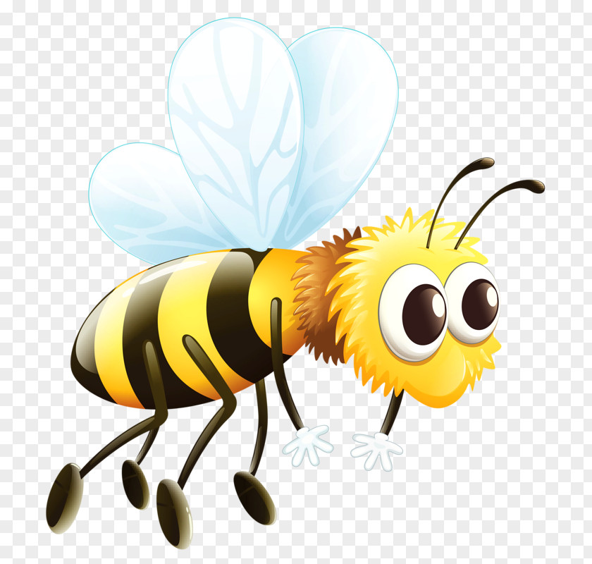 Bee Western Honey Worker Queen PNG