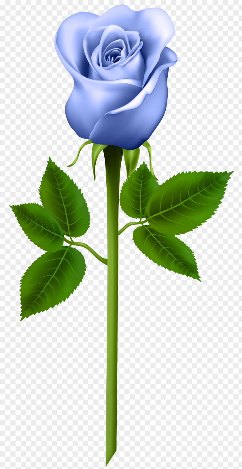 Blue Rose Transparent Image Purple Clip Art PNG