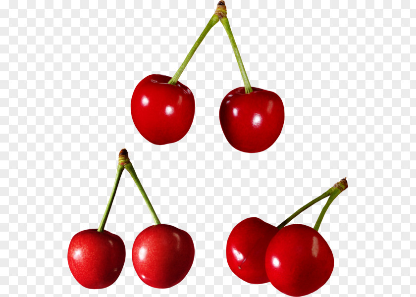 Cherry Sweet Cerasus Berry Food PNG