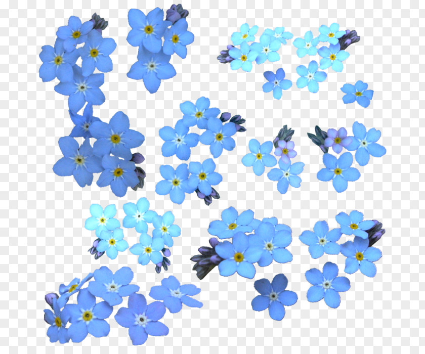 Design Water Forget-Me-Not Clip Art PNG